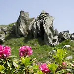 Hotel Alpengasthof Grimmingblick 3*