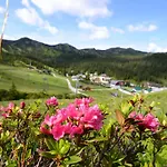 Alpengasthof Grimmingblick Hotel Planneralm