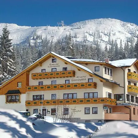Alpengasthof Grimmingblick