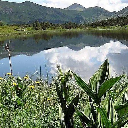 Otel Alpengasthof Grimmingblick 3*