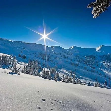 Alpengasthof Grimmingblick Planneralm