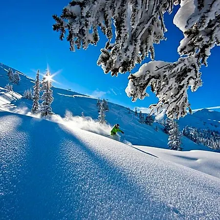 Hotel Alpengasthof Grimmingblick