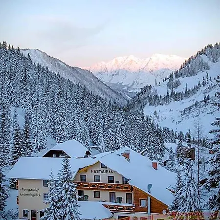 Hotel Alpengasthof Grimmingblick Planneralm