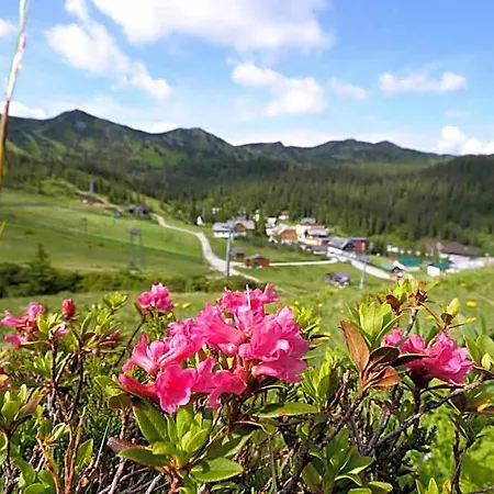 Otel Alpengasthof Grimmingblick 3*