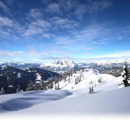 Alpengasthof Grimmingblick Otel Planneralm