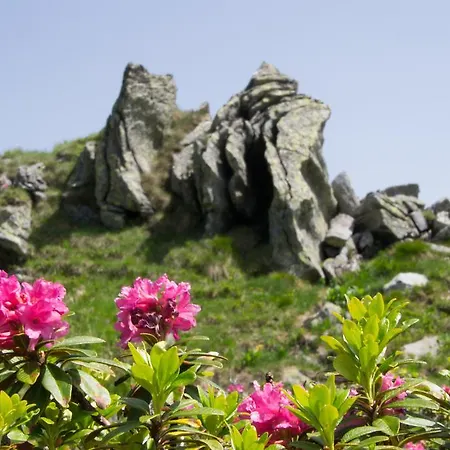 Otel Alpengasthof Grimmingblick 3*