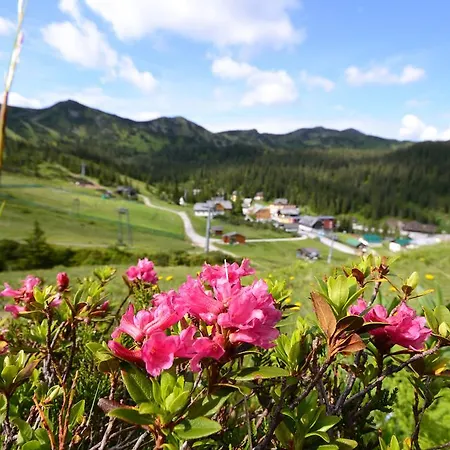 Alpengasthof Grimmingblick Hotel Planneralm