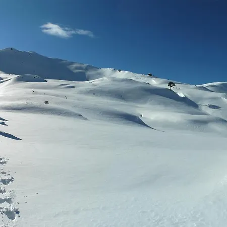 Alpengasthof Grimmingblick