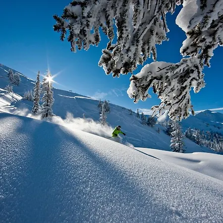 Alpengasthof Grimmingblick Planneralm