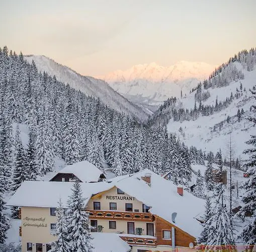 Alpengasthof Grimmingblick Hotel