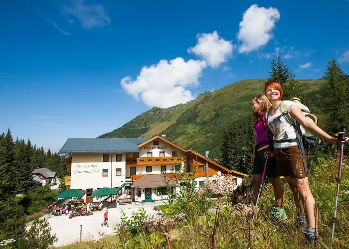 Alpengasthof Grimmingblick Hotel