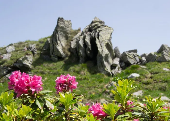 Hotel Alpengasthof Grimmingblick 3*