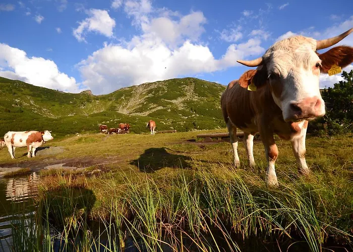 Alpengasthof Grimmingblick 3*