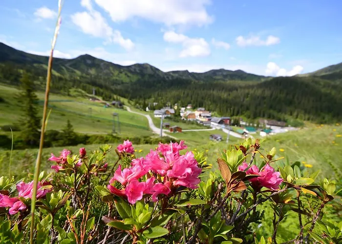 Alpengasthof Grimmingblick Hotel Planneralm
