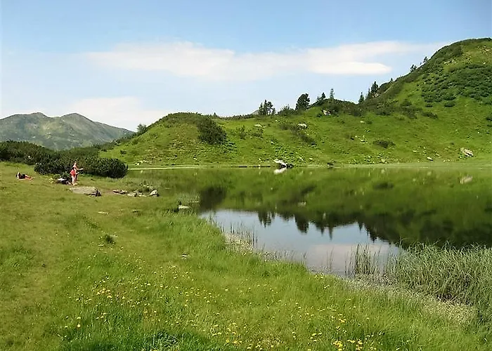 Alpengasthof Grimmingblick Planneralm