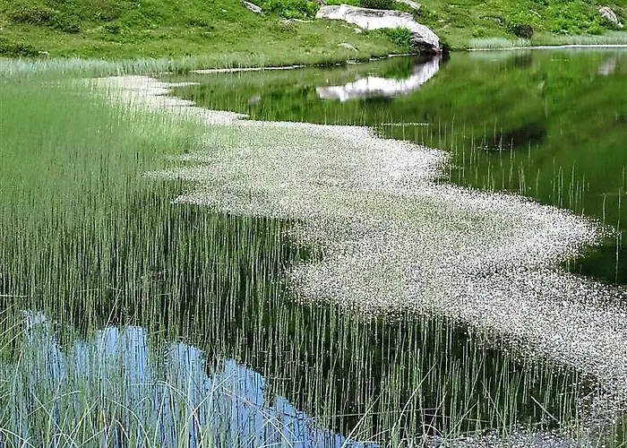 Alpengasthof Grimmingblick Hotel