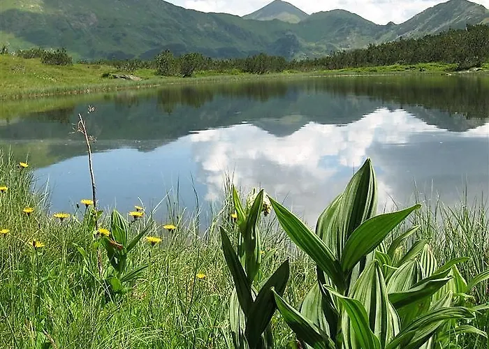 Hotel Alpengasthof Grimmingblick 3*