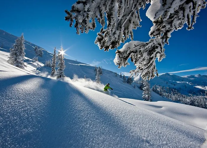 Alpengasthof Grimmingblick Planneralm