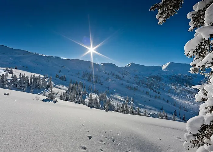 Alpengasthof Grimmingblick Hotel